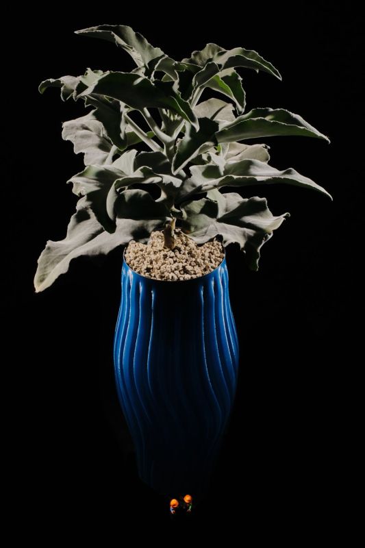 Blumenvase aus rPETG hergestellt durch Großformat 3D-Druck